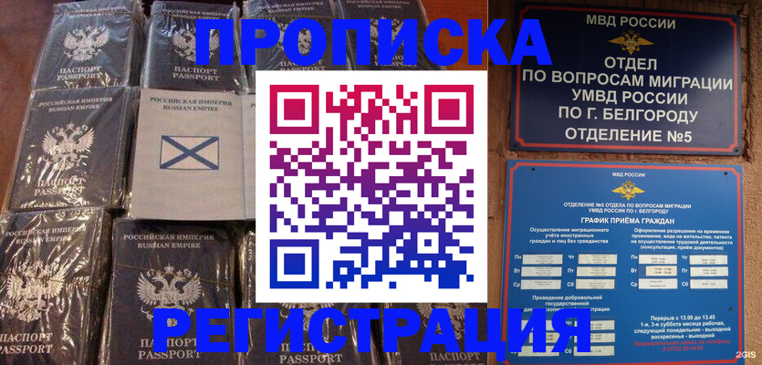прописка гарантия в Михайлове